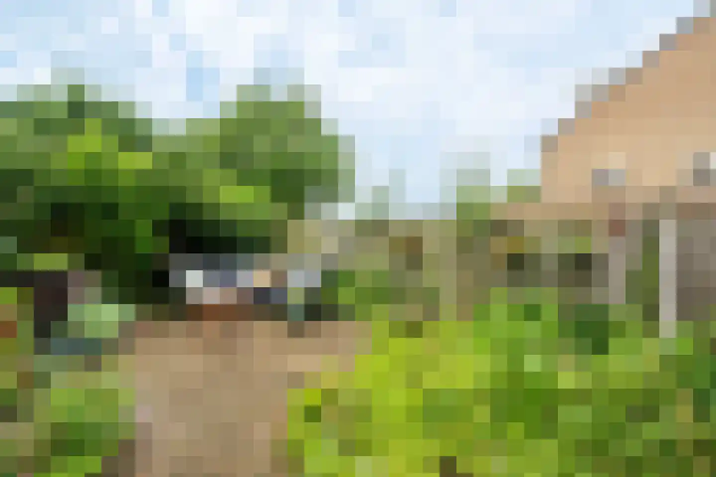 Vergersweg 28 Wageningen thumbnail 28