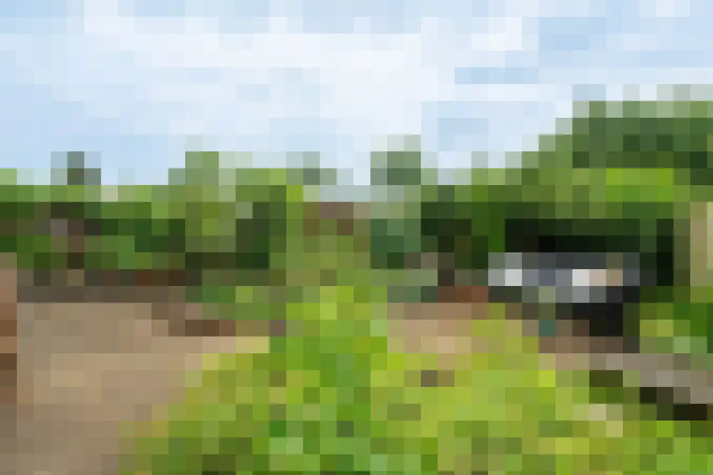 Vergersweg 28 Wageningen thumbnail 29