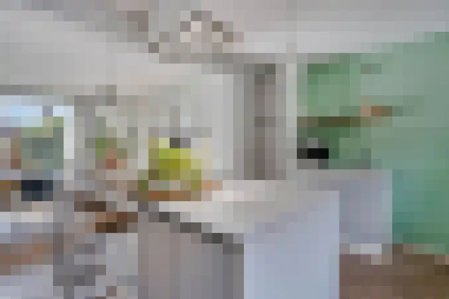 Vergersweg 31 Wageningen thumbnail 23