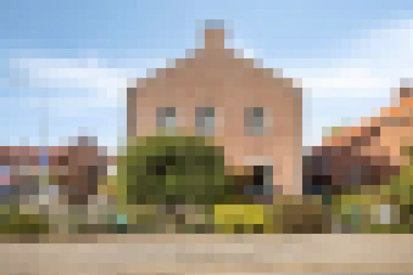 Vergersweg 31 Wageningen foto 3
