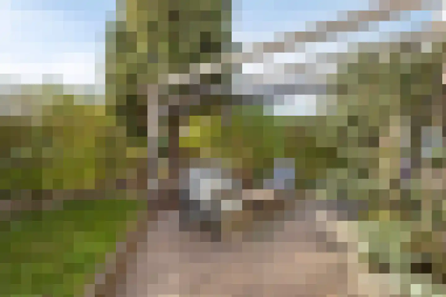 Vergersweg 31 Wageningen thumbnail 45