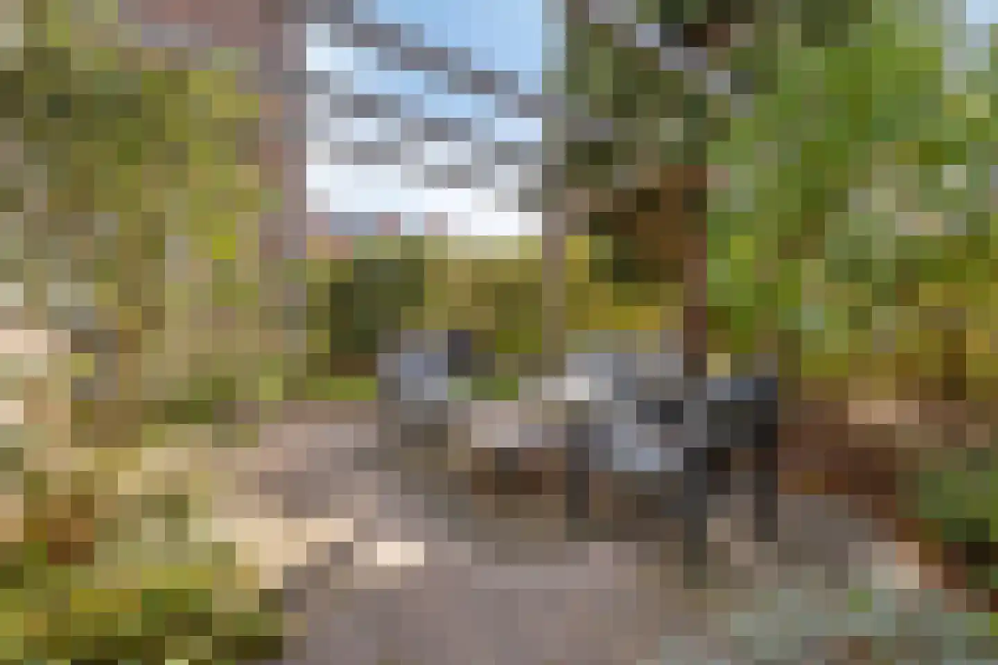 Vergersweg 31 Wageningen thumbnail 46