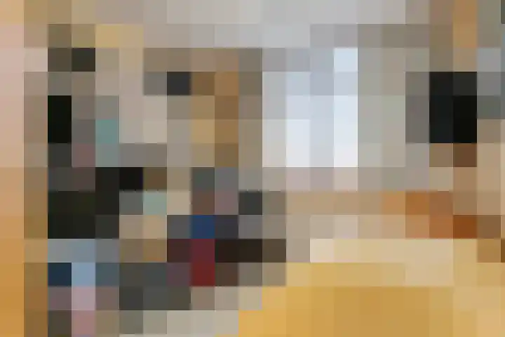 Vergersweg 7 Wageningen thumbnail 15
