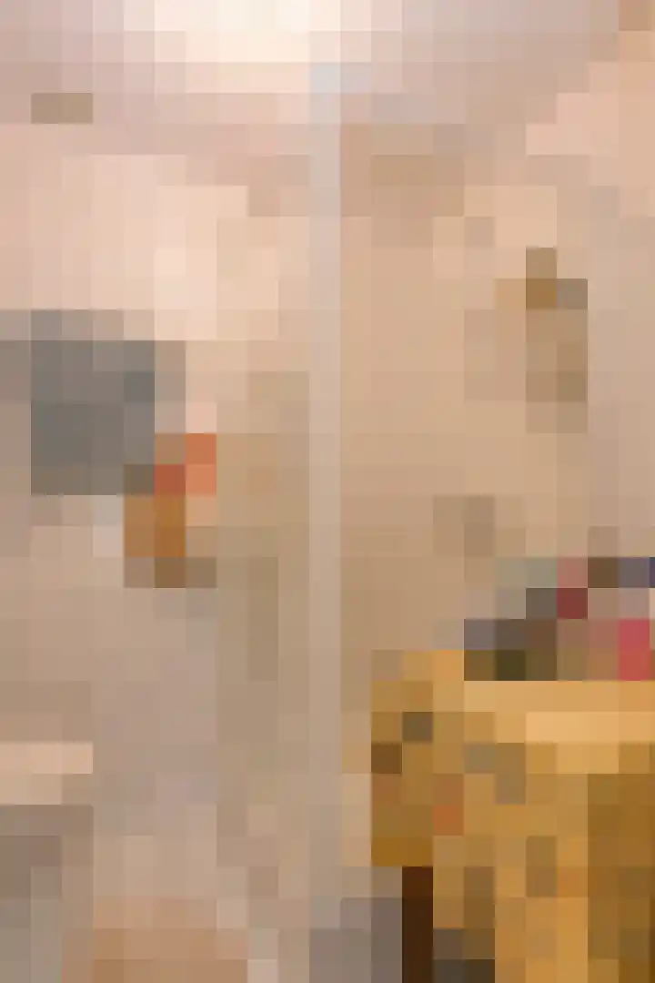 Vergersweg 7 Wageningen thumbnail 18