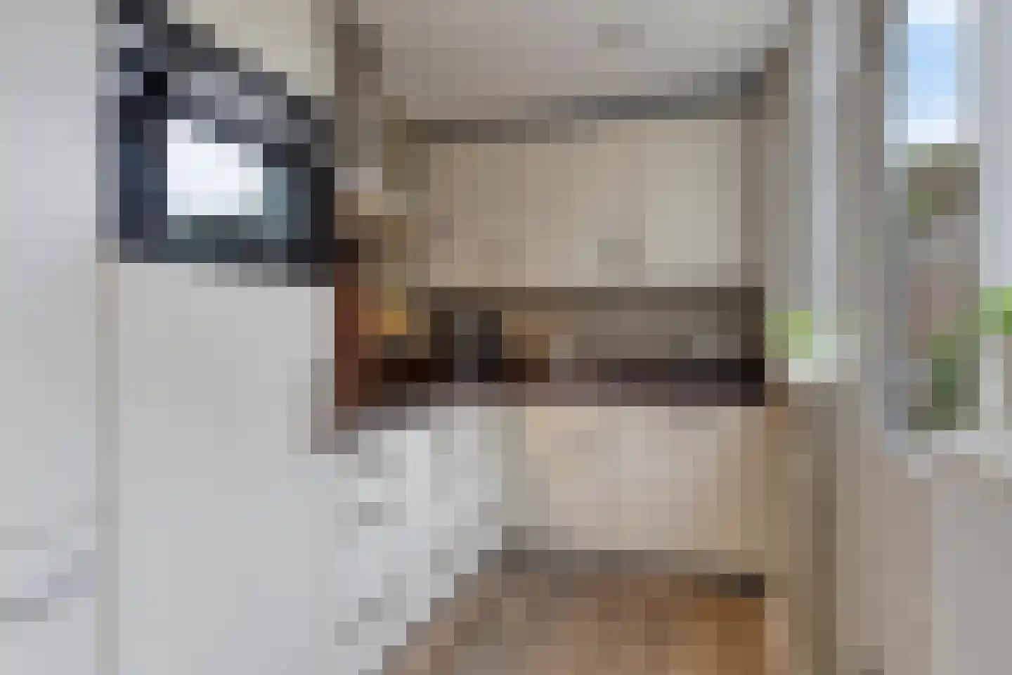 Vergert 9 Elst thumbnail 13