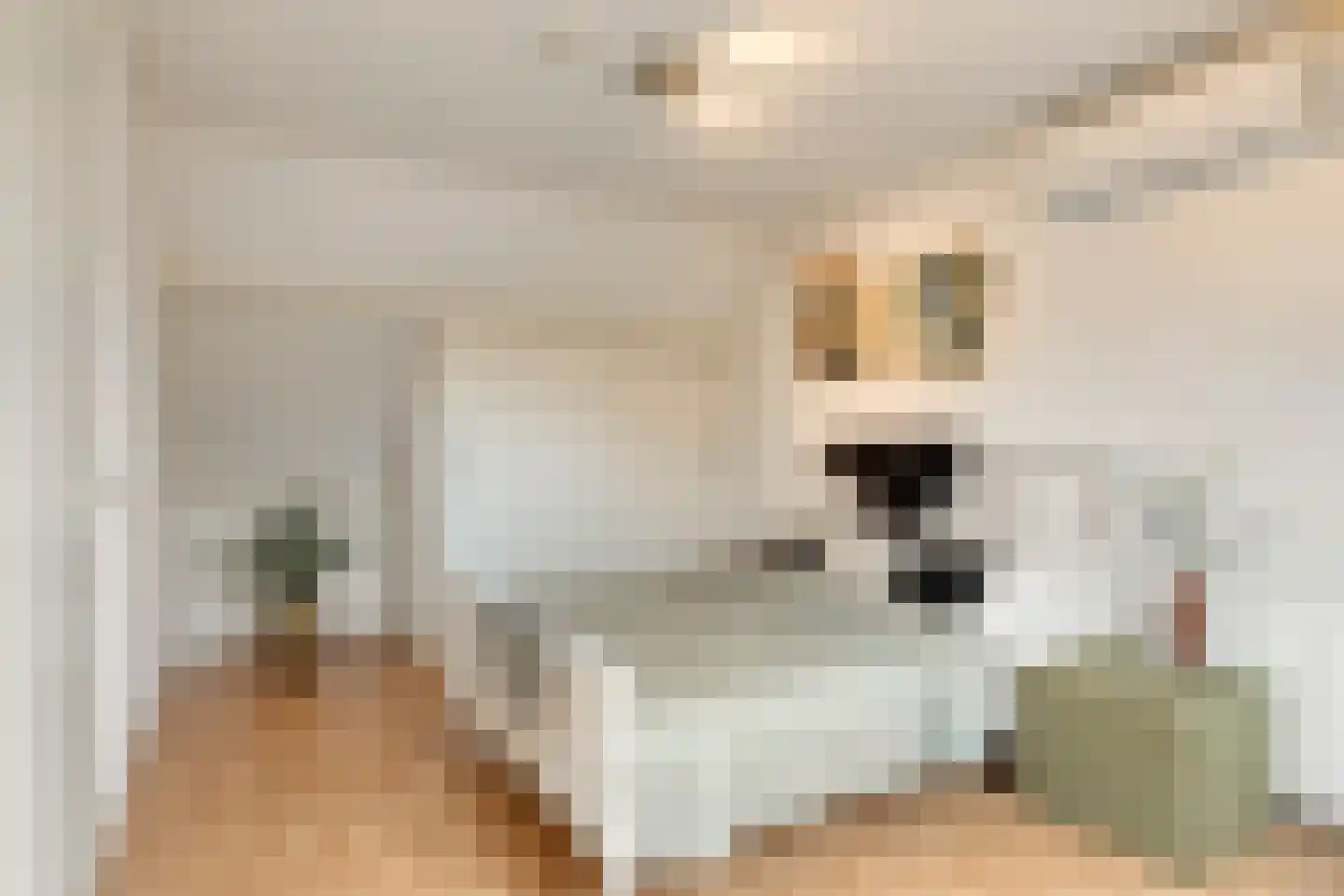 Vergert 9 Elst thumbnail 27