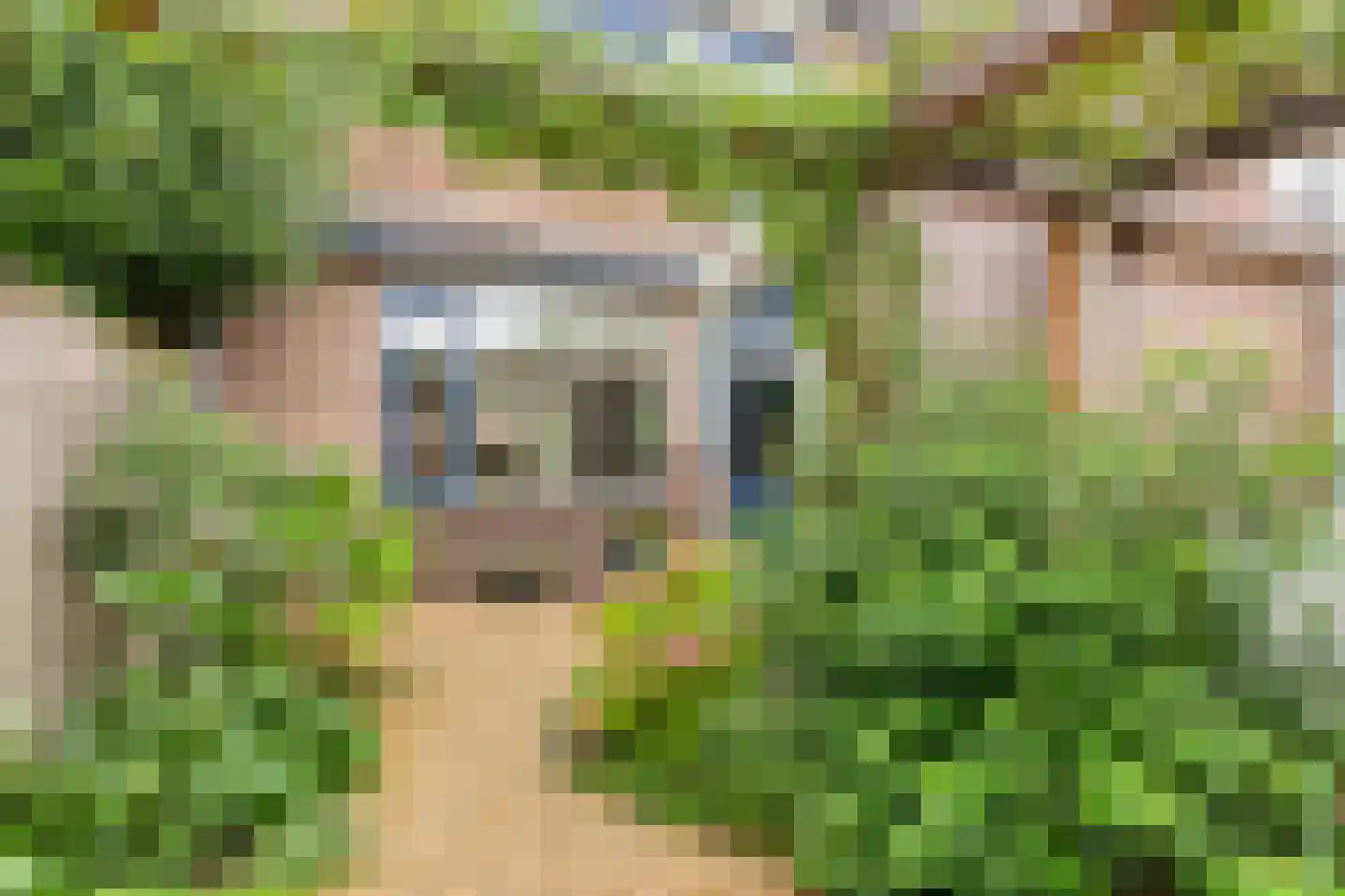 Vergert 9 Elst thumbnail 29