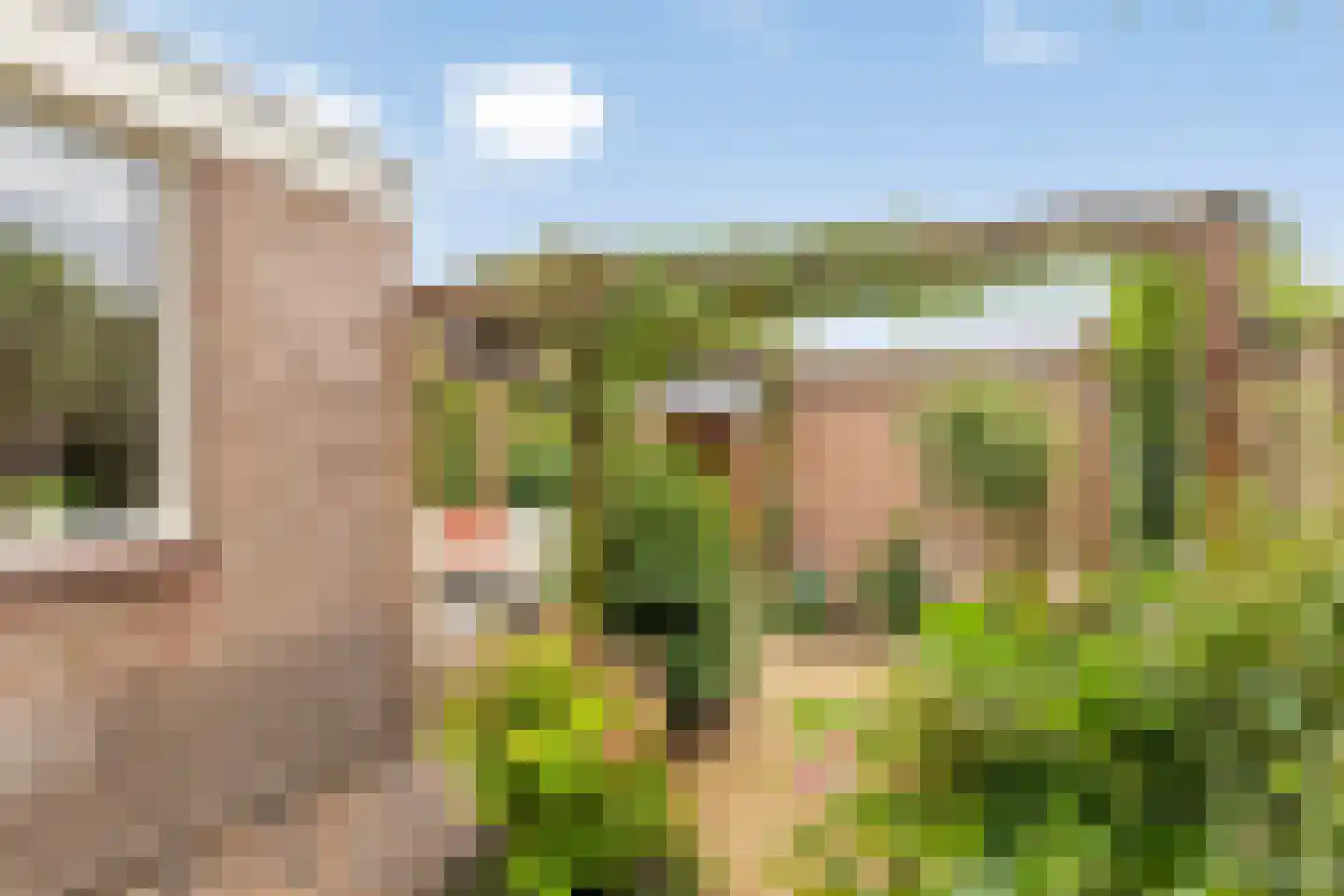 Vergert 9 Elst thumbnail 30