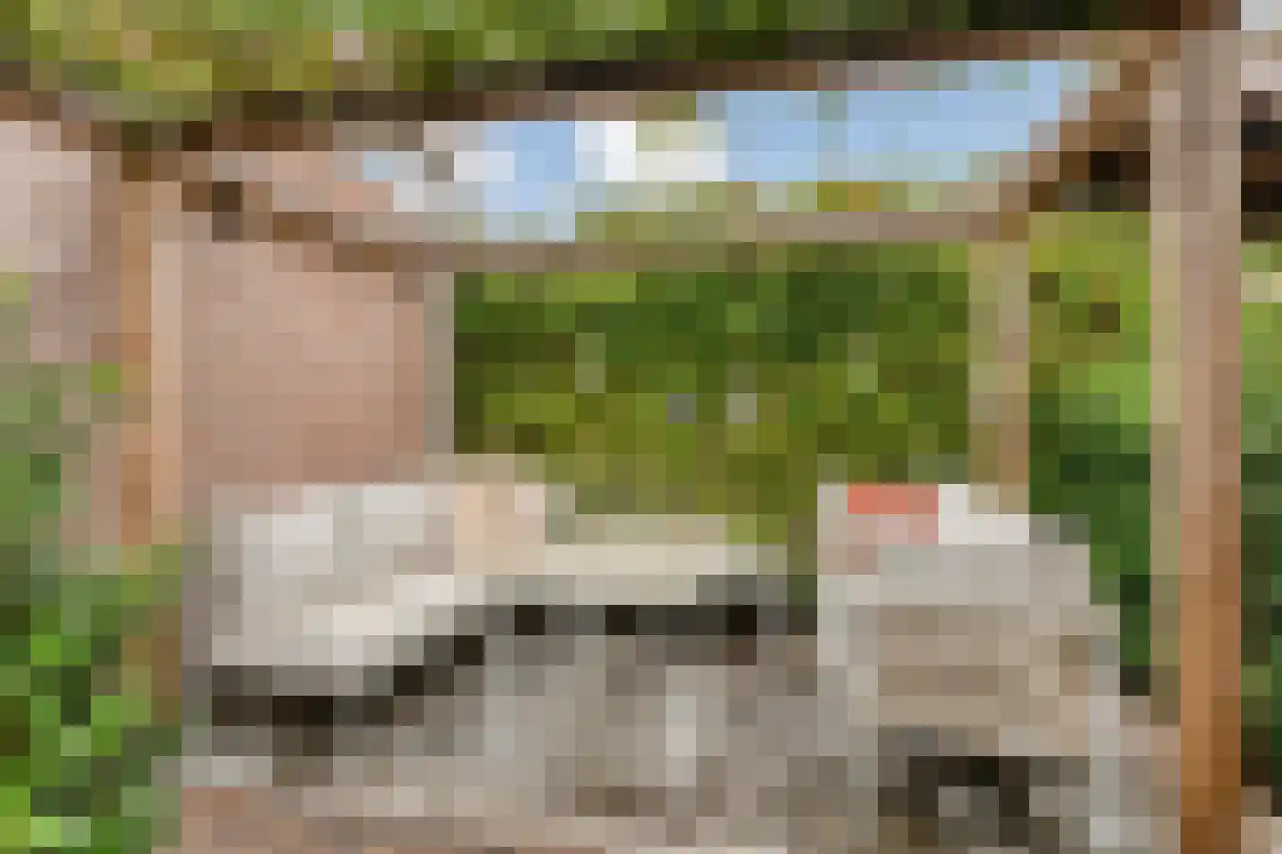 Vergert 9 Elst thumbnail 31