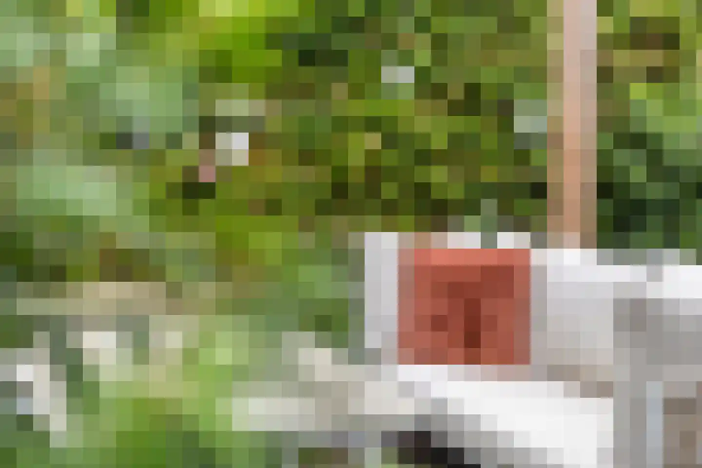 Vergert 9 Elst thumbnail 32