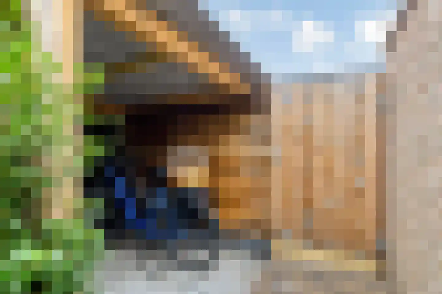 Vergert 9 Elst thumbnail 33