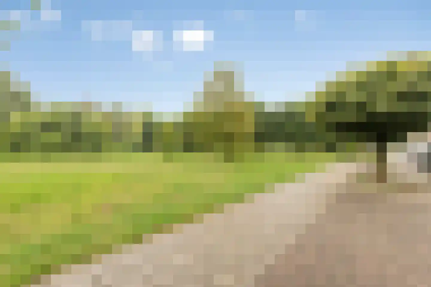 Vergert 9 Elst thumbnail 34