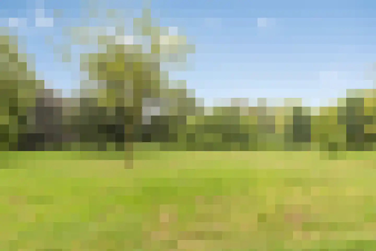 Vergert 9 Elst thumbnail 35