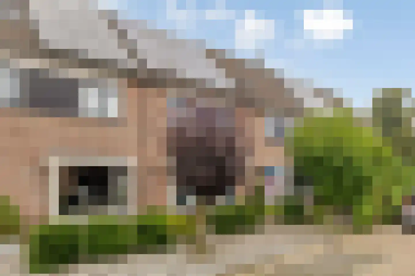Vergert 9 Elst thumbnail 4