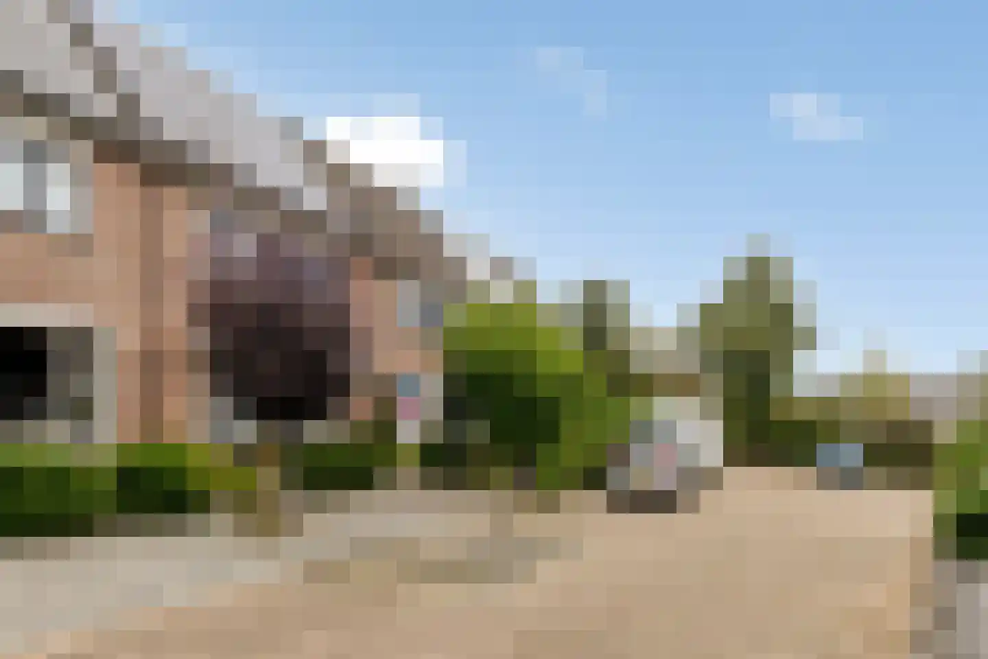Vergert 9 Elst thumbnail 5