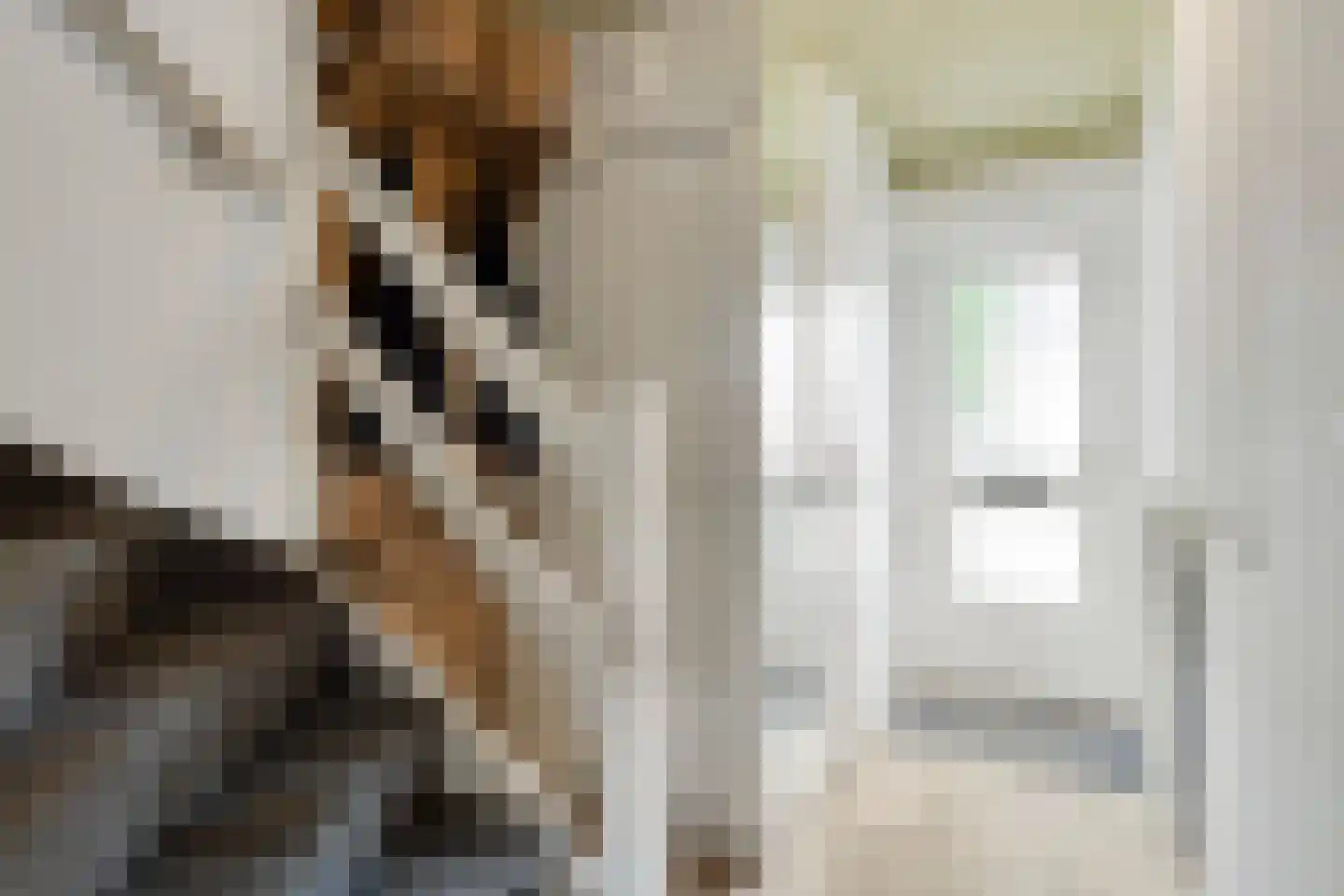 Vergert 9 Elst thumbnail 8