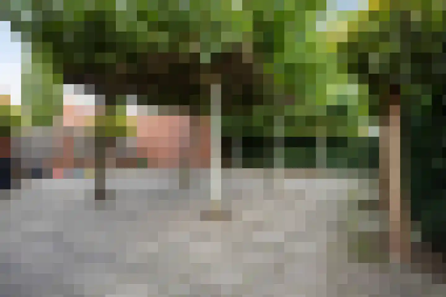 Vergezicht 10 Elst thumbnail 22