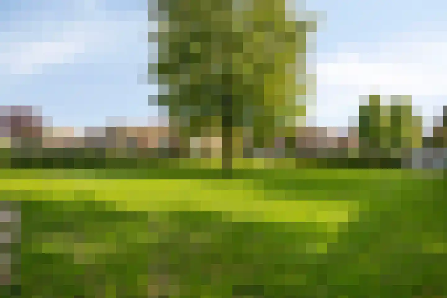 Vergezicht 10 Elst thumbnail 51