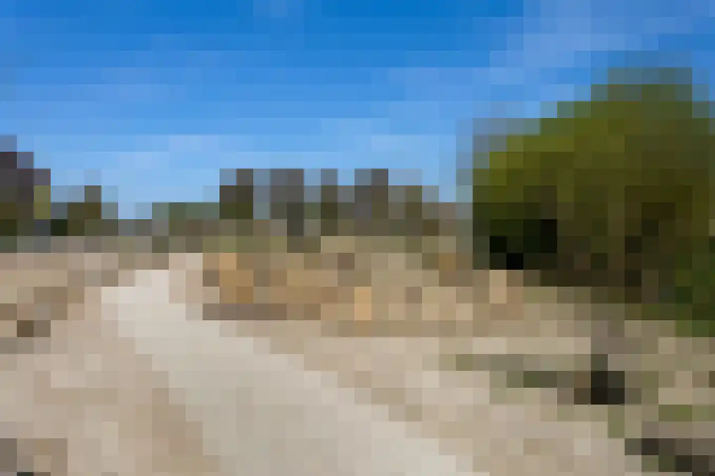 Vergezicht 10 Elst thumbnail 56
