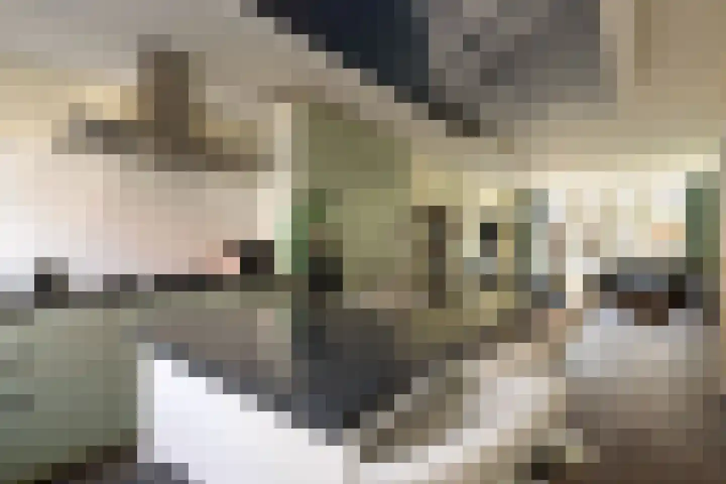 Vergierdeweg 10 Haarlem thumbnail 11