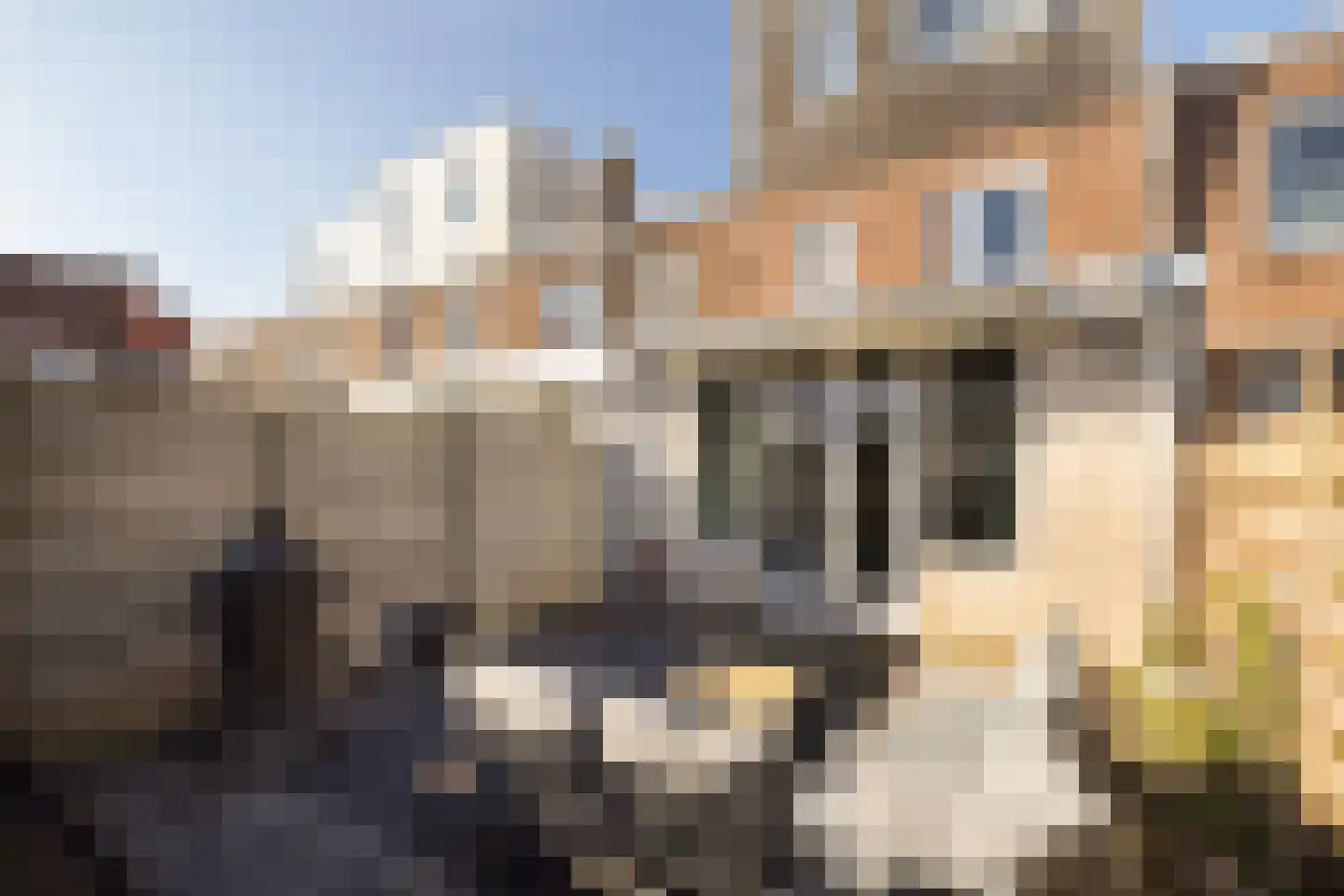 Vergierdeweg 10 Haarlem thumbnail 32