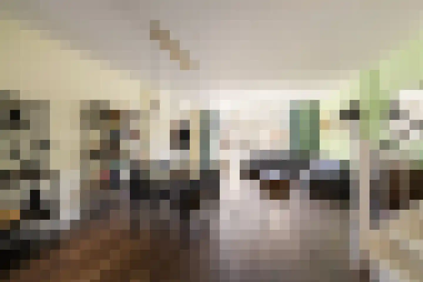 Vergierdeweg 10 Haarlem thumbnail 8