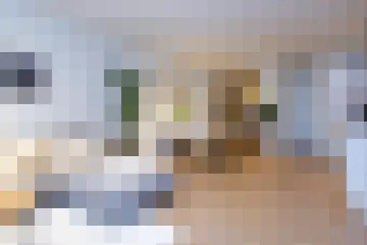 Vergierdeweg 13 Haarlem thumbnail 10