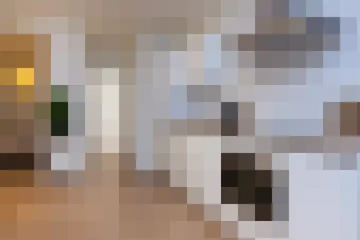 Vergierdeweg 13 Haarlem thumbnail 11