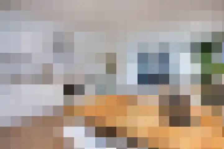 Vergierdeweg 13 Haarlem thumbnail 14