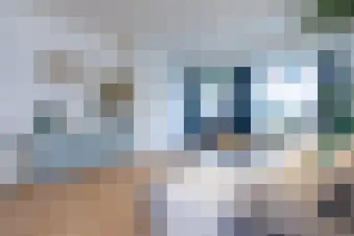 Vergierdeweg 13 Haarlem thumbnail 17