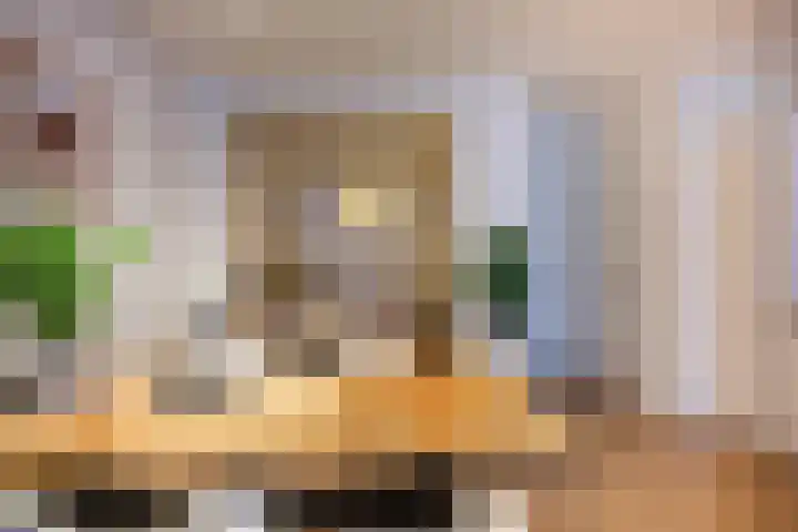 Vergierdeweg 13 Haarlem thumbnail 19