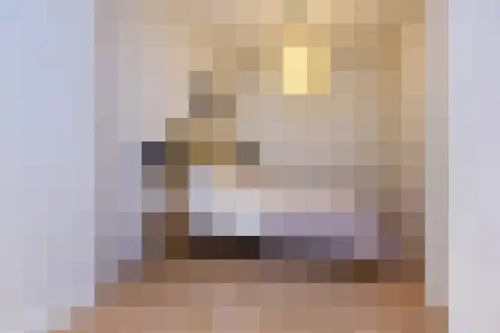 Vergierdeweg 13 Haarlem thumbnail 20
