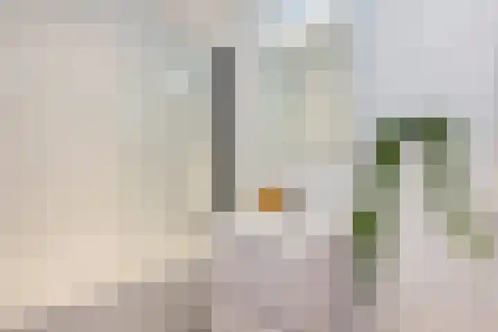Vergierdeweg 13 Haarlem thumbnail 22