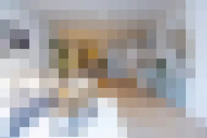 Vergierdeweg 13 Haarlem thumbnail 4