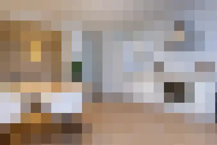 Vergierdeweg 13 Haarlem thumbnail 5