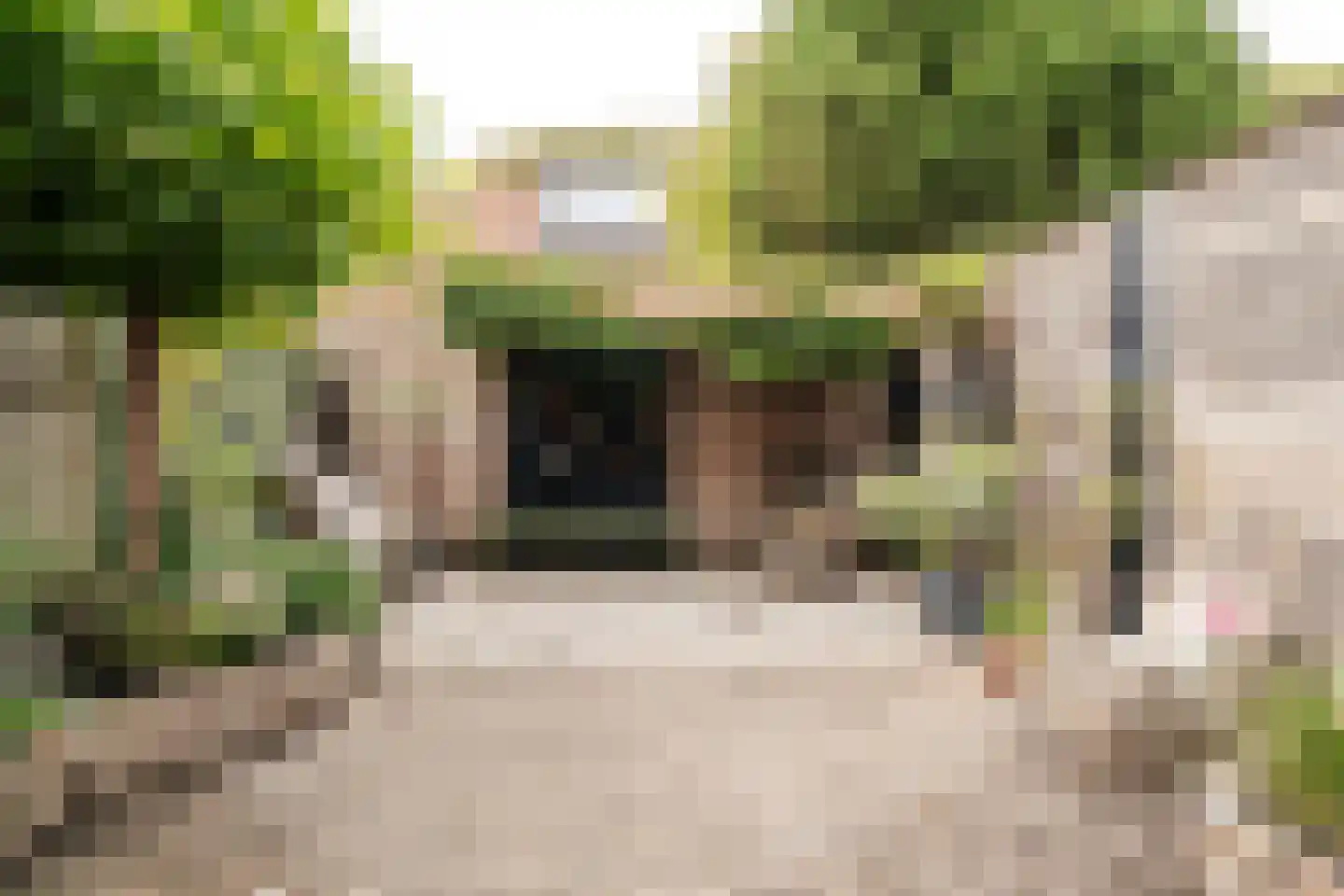 Vergierdeweg 153 Haarlem thumbnail 22