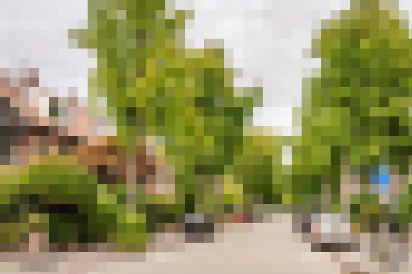 Vergierdeweg 153 Haarlem thumbnail 6