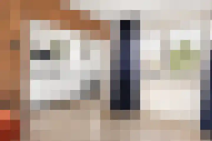 Vergierdeweg 155 Haarlem thumbnail 13