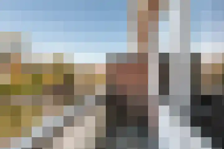 Vergierdeweg 155 Haarlem thumbnail 16