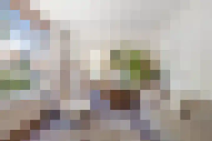 Vergierdeweg 206 Haarlem thumbnail 12