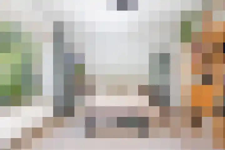 Vergierdeweg 206 Haarlem thumbnail 13