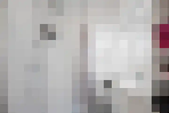 Vergierdeweg 206 Haarlem thumbnail 21