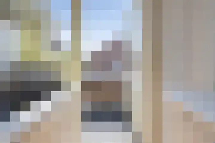Vergierdeweg 206 Haarlem thumbnail 33