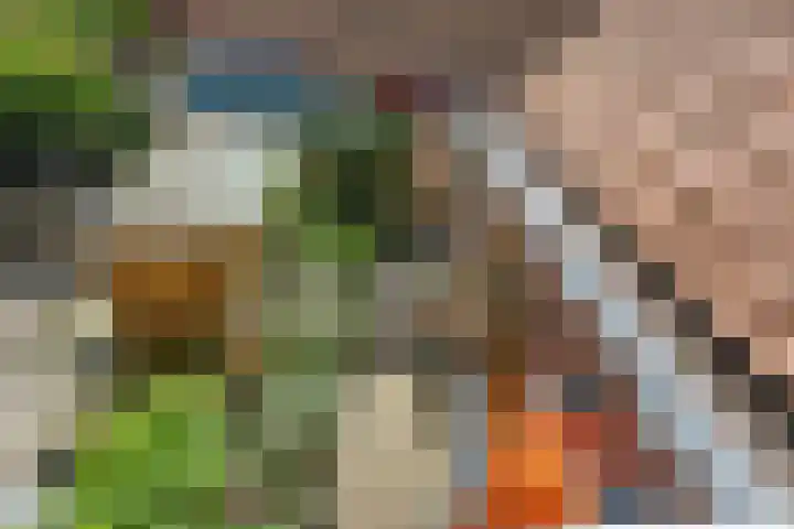 Vergierdeweg 206 Haarlem thumbnail 34