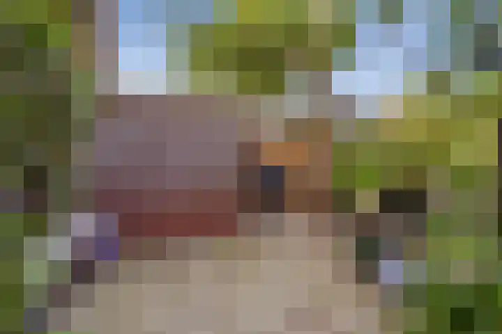 Vergierdeweg 206 Haarlem thumbnail 42