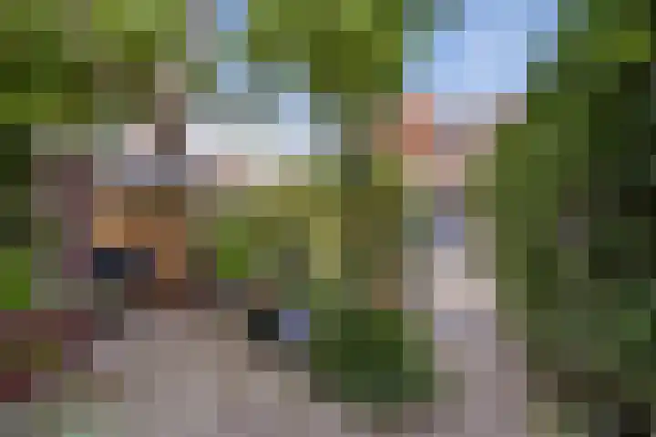 Vergierdeweg 206 Haarlem thumbnail 43