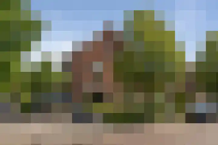 Vergierdeweg 206 Haarlem thumbnail 45
