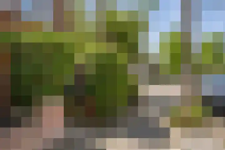 Vergierdeweg 206 Haarlem thumbnail 5