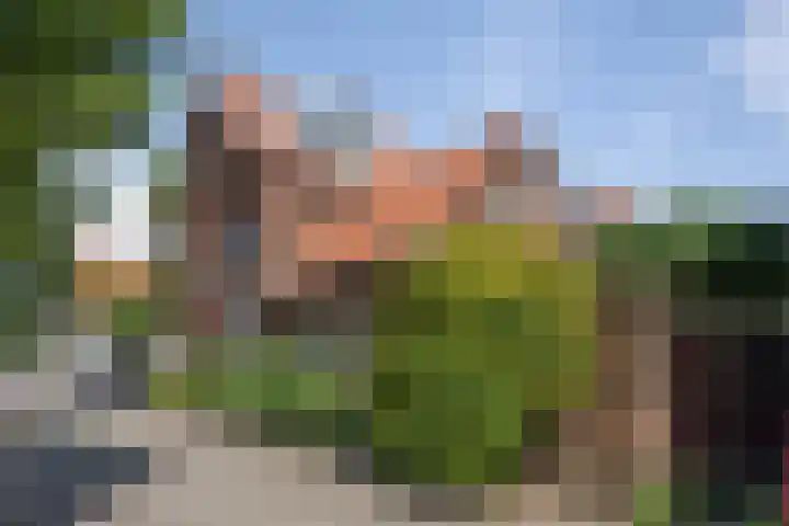 Vergierdeweg 206 Haarlem thumbnail 51