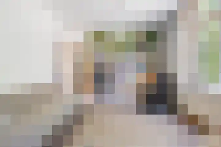 Vergierdeweg 206 Haarlem thumbnail 9